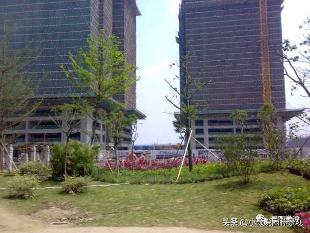 住宅小区植物配置方案,植物种植小技巧一览表图