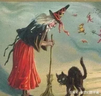 你不知道的猫咪事情,你不知道的猫咪睡姿大揭秘