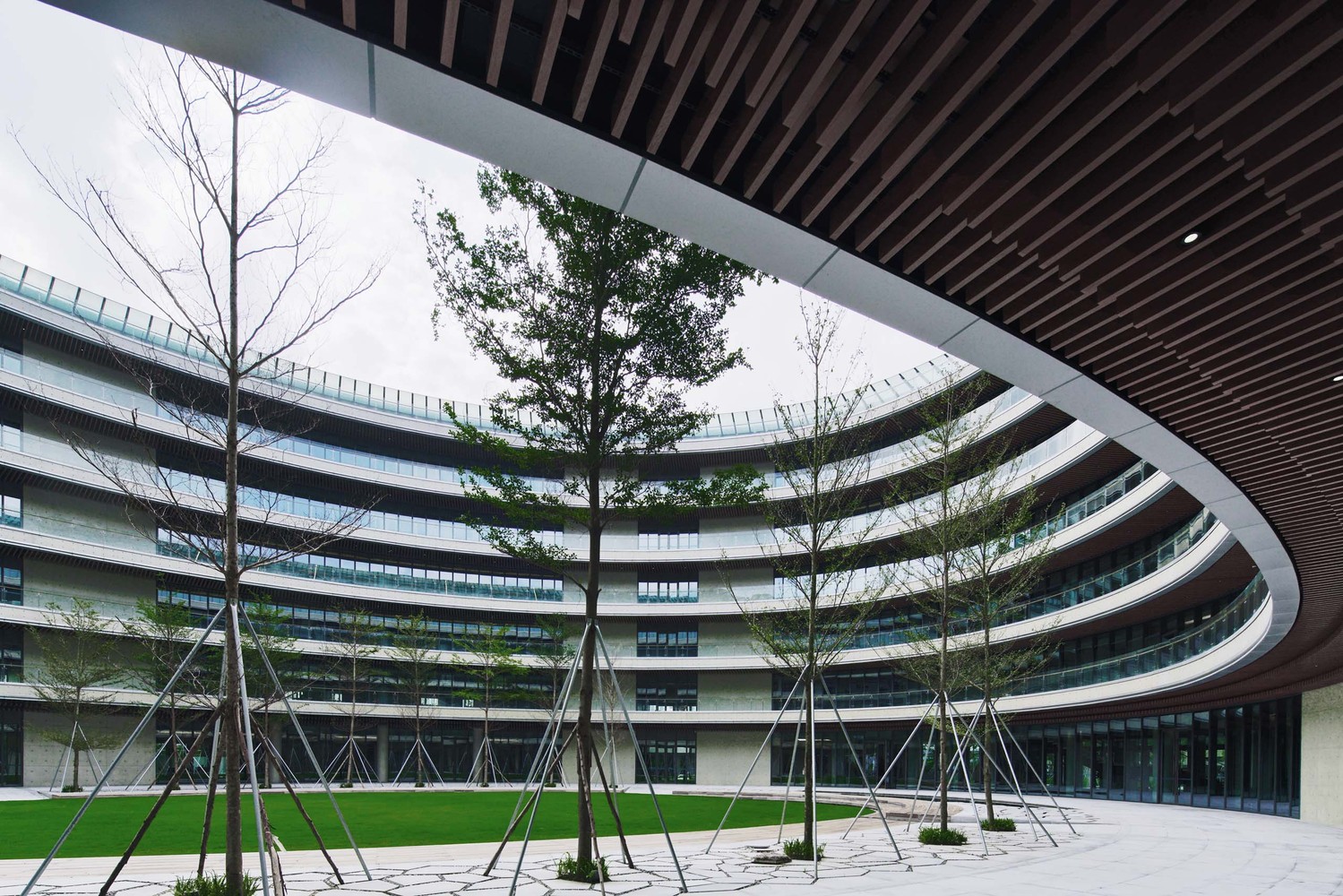 世界手机巨头排名2020,世界巨头的总部