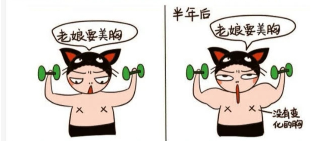 女生丰胸的十大好习惯,丰胸最重要是乳腺还是脂肪