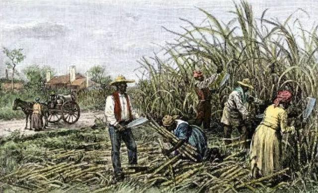 为什么朗姆酒被誉为海盗之酒,朗姆酒被称为海盗之酒的原因