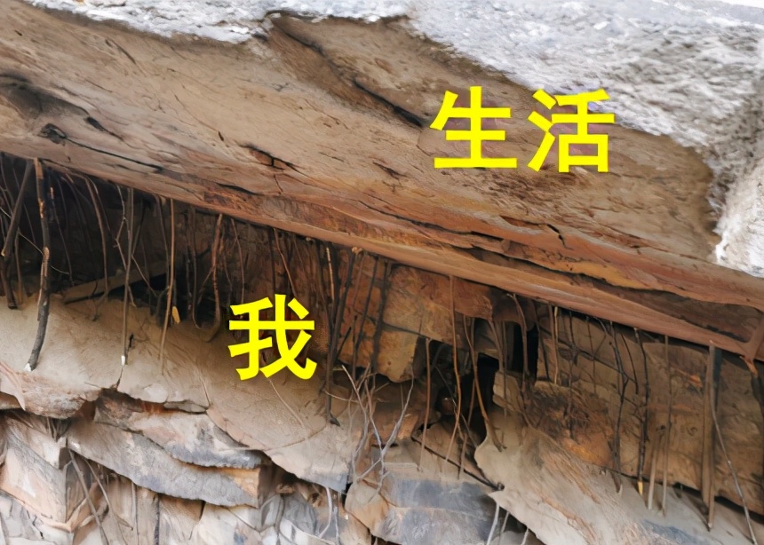 记我的一次旅行600字记叙文,记一次游玩经历600字