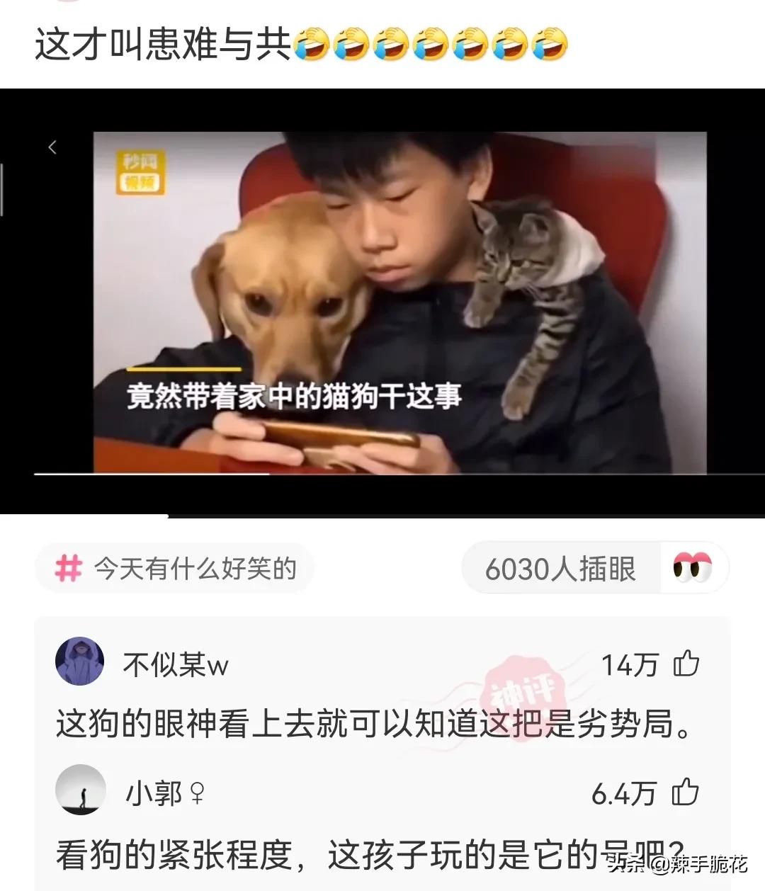 网友：像我这种没穿*裤内**的怎么进去？