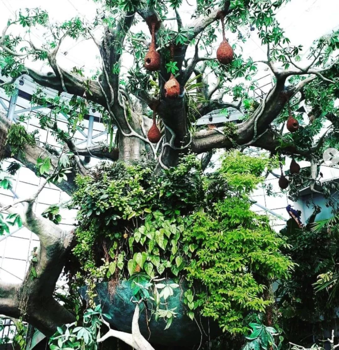 十个小时玩转迪拜,玩转迪拜与阿布扎比