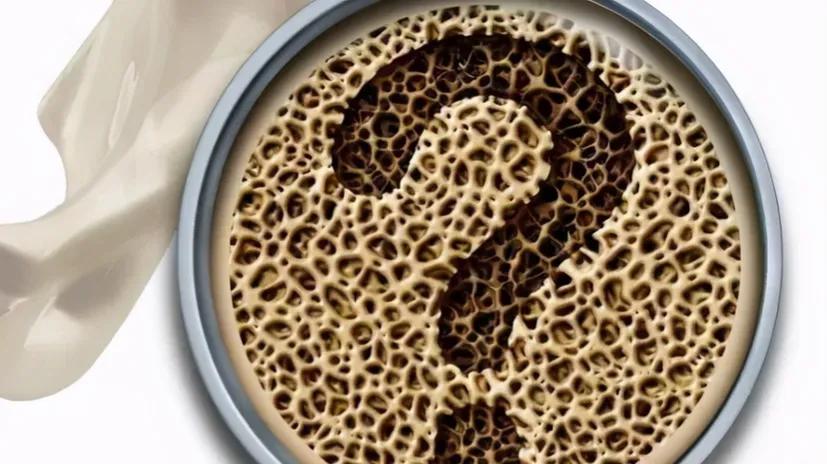 骨质疏松老年人预防跌倒的重要性,骨质疏松跌倒措施