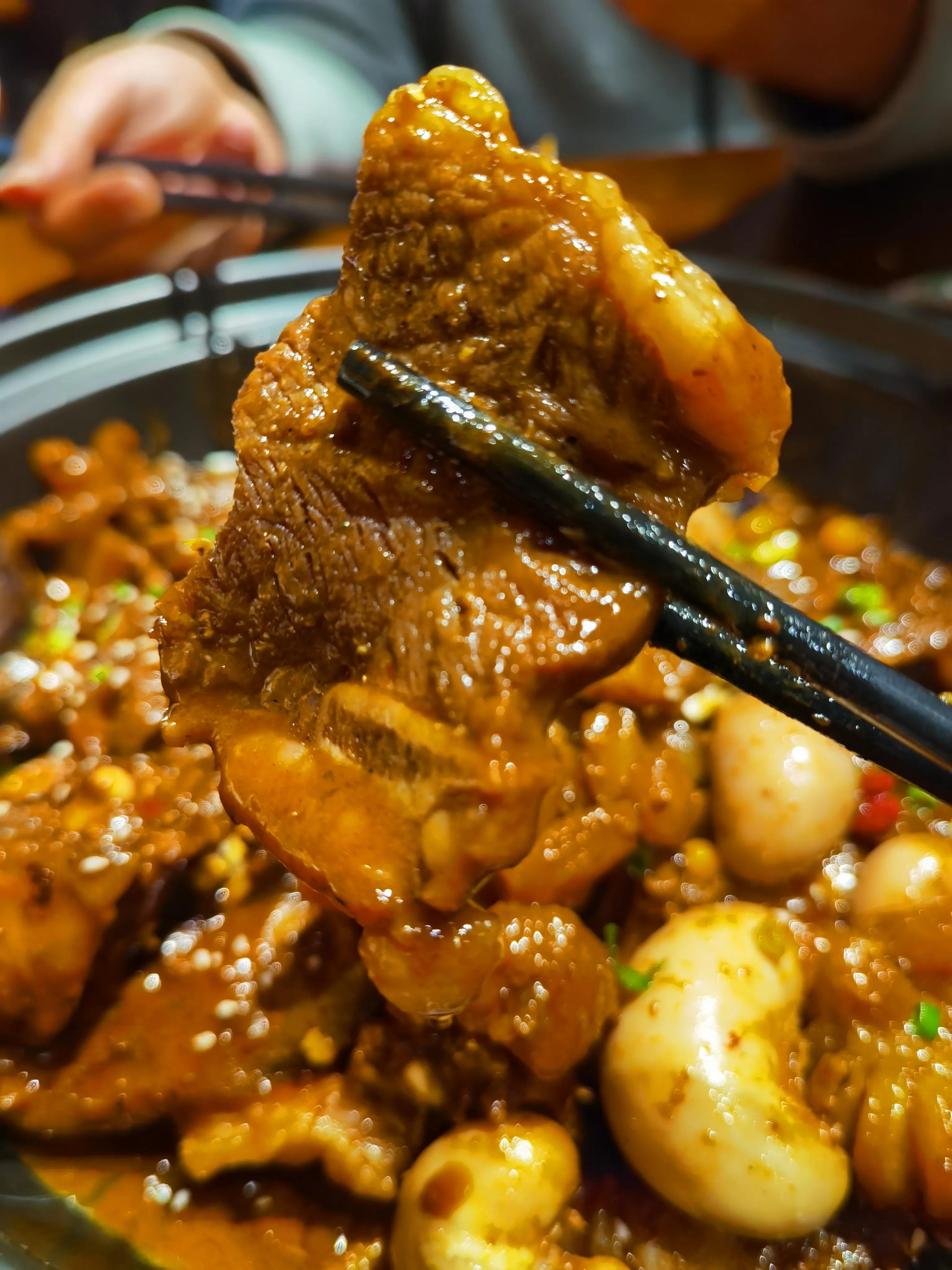 春夜2男2女在郑州金元甲甲鱼馆,吃老鳖焖牛鞭,才花500多文