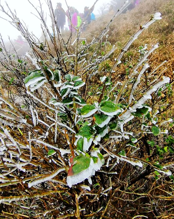 雨中的梵净山景色,烟雨梵净山