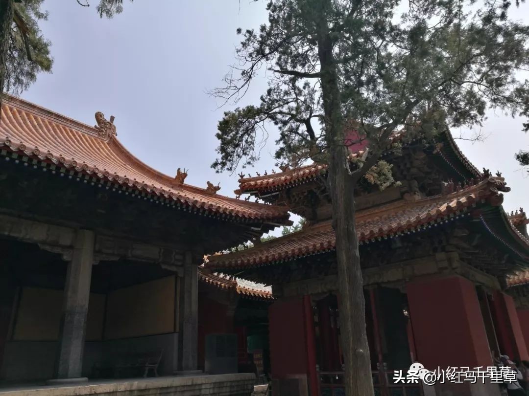 曲阜孔府孔庙孔林历史背景,曲阜孔府孔庙孔林一游