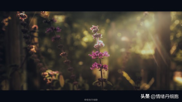 可以去玩一整天的地方,能玩一两天的地方