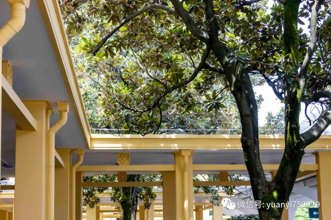 韶山绿皮火车站,打卡韶山这些红色地标