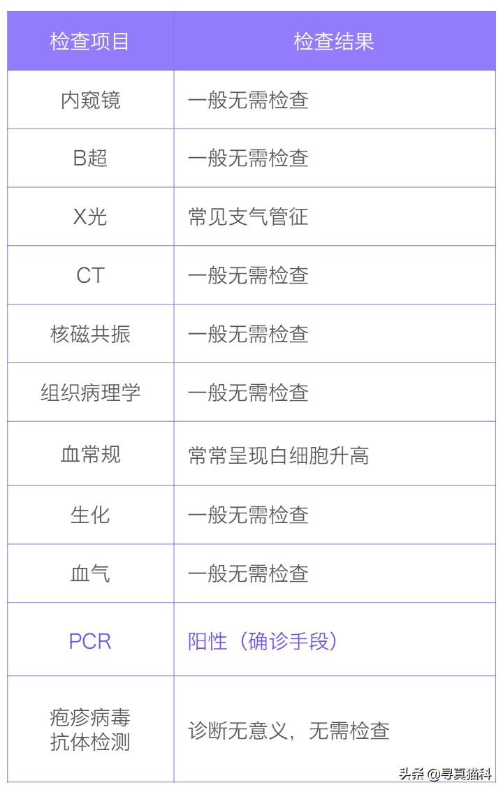 猫传染性上呼吸道感染,猫传染性鼻支气管炎
