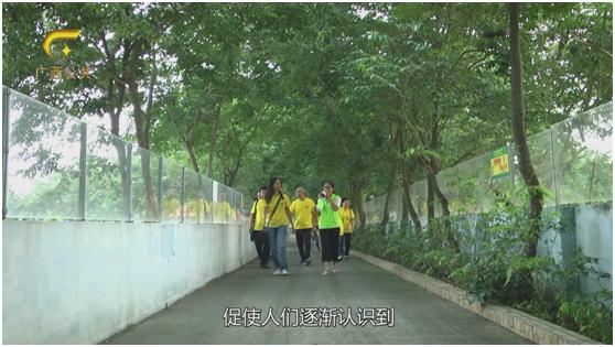 鳄之宝,广西卫视12点探秘节目