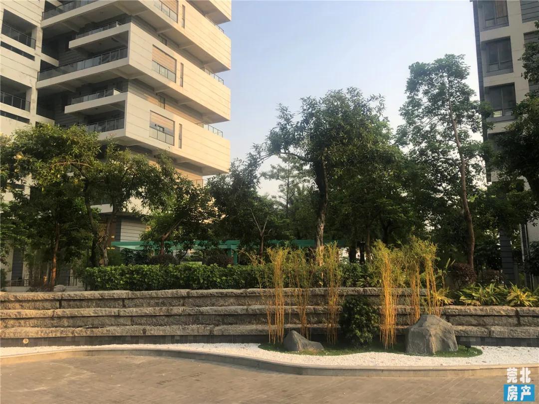 园洲东江府楼盘,惠州园洲东江府房价最新