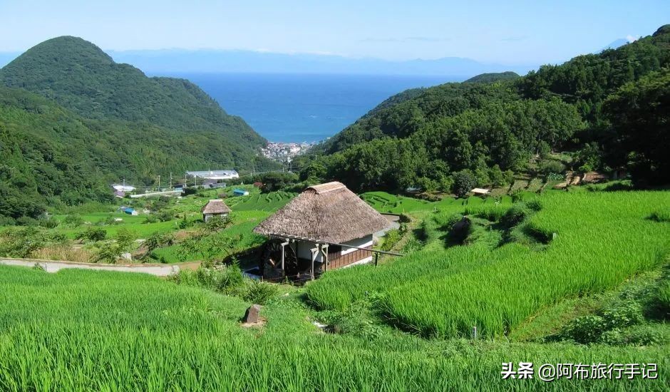 日本的世界遗产一览表,日本世界遗产共有多少项