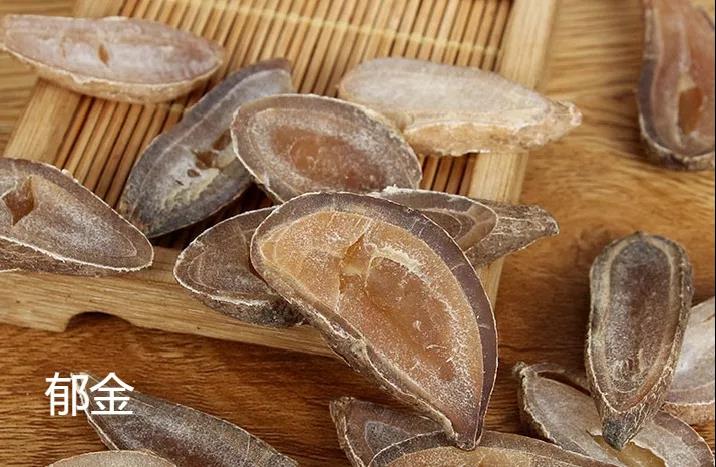 每天学习一味中药,郁金是一味什么中药