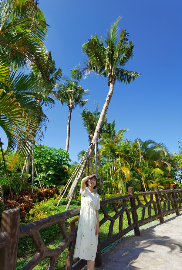 陵水度假酒店攻略,陵水海滨度假酒店