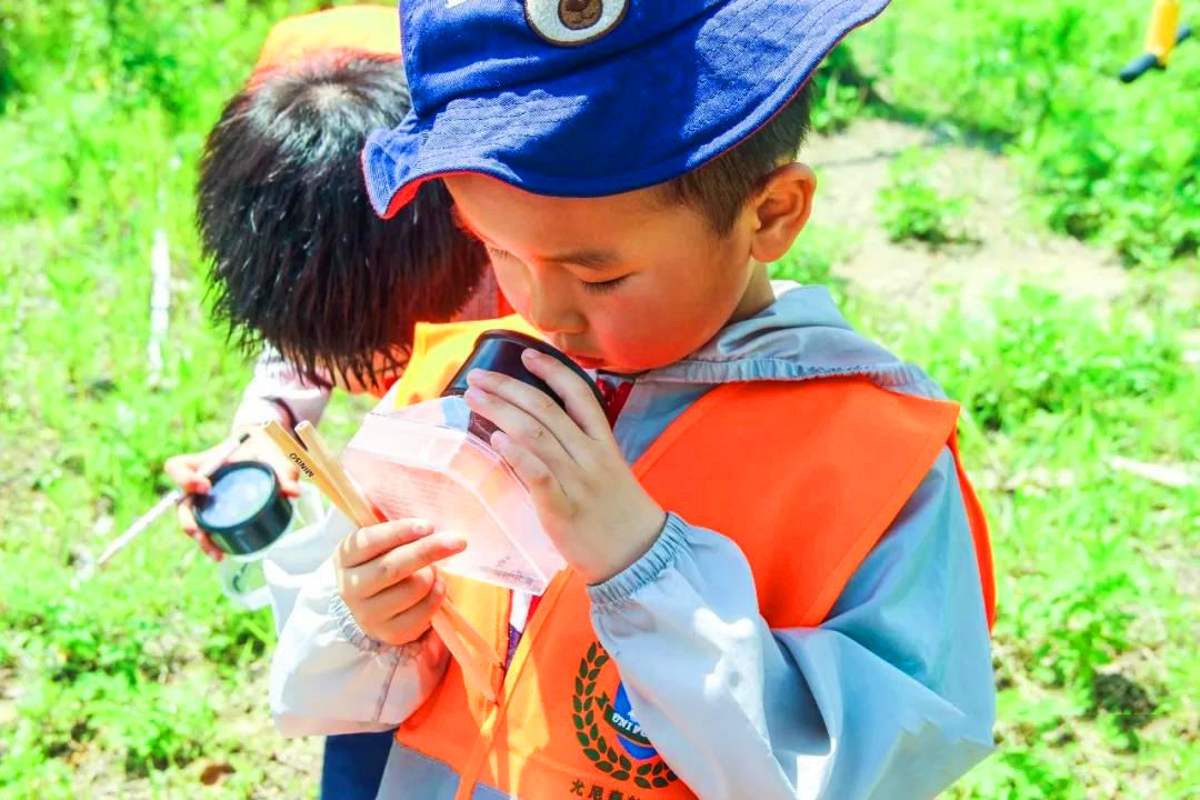 为什么孩子做事不要循规蹈矩,孩子做事总是得过且过怎么办