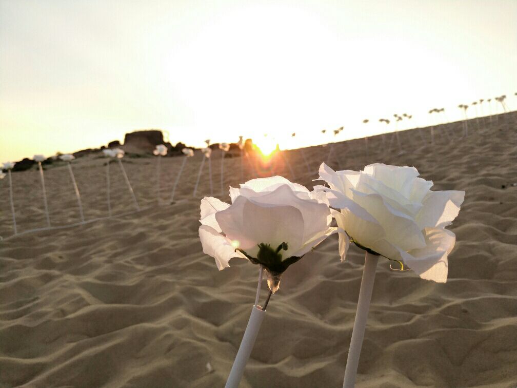 “割礼”惨无人寰的陋习，*害迫**着女性身体，震撼人心《沙漠之花》