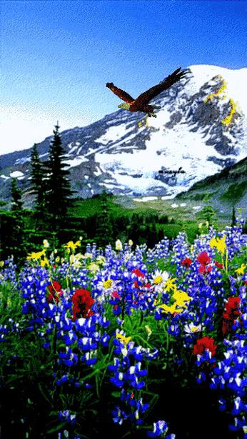 这是我见过最美的风景吗,这是我见过的最美的风景英语