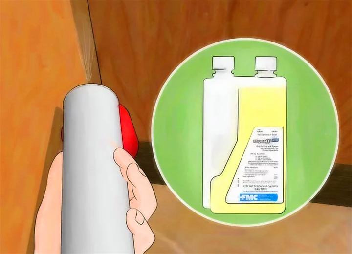 家里蟑螂太多处理方法不用小苏打,家里蟑螂太多怎么能彻底清除蟑螂