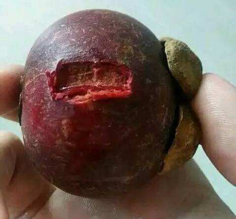 果中皇后山竹功效,山竹为何被称为水果界的皇后