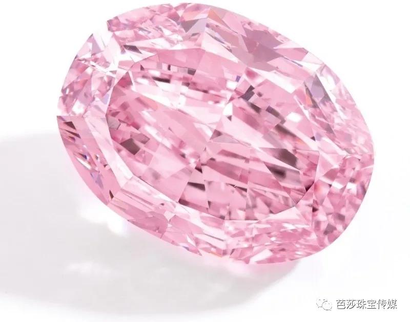 保姆级拍照教程软件,保姆级拍摄教程