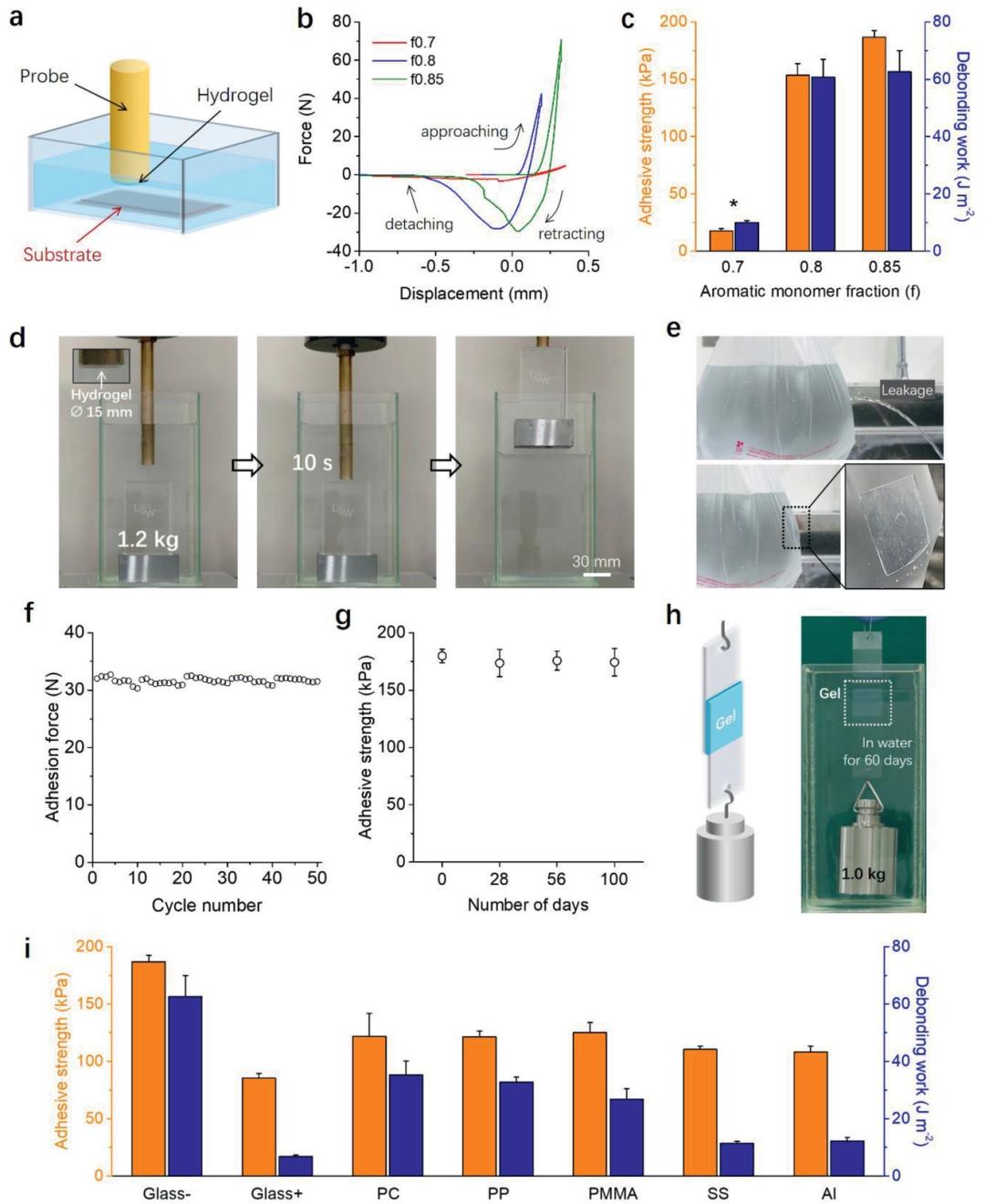 龚建萍简介,龚建萍