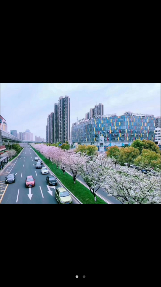 美丽的第二故乡宁波~北仑港