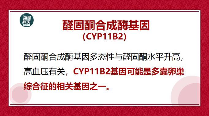 多囊卵巢检查报告,多囊检查12项