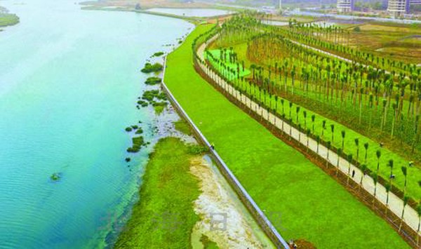 在北海生活感觉身体不舒服,住在北海海景房真实感受