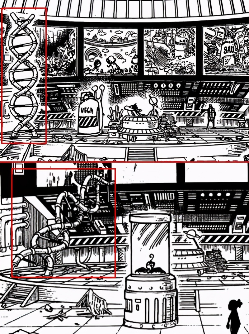 剧情分析海贼王,海贼王剧情解析最新