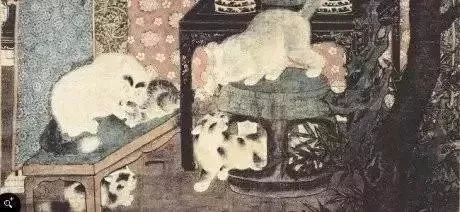 钱钟书和林徽因的护猫之战 (钱钟书的猫跟谁的猫打过架)