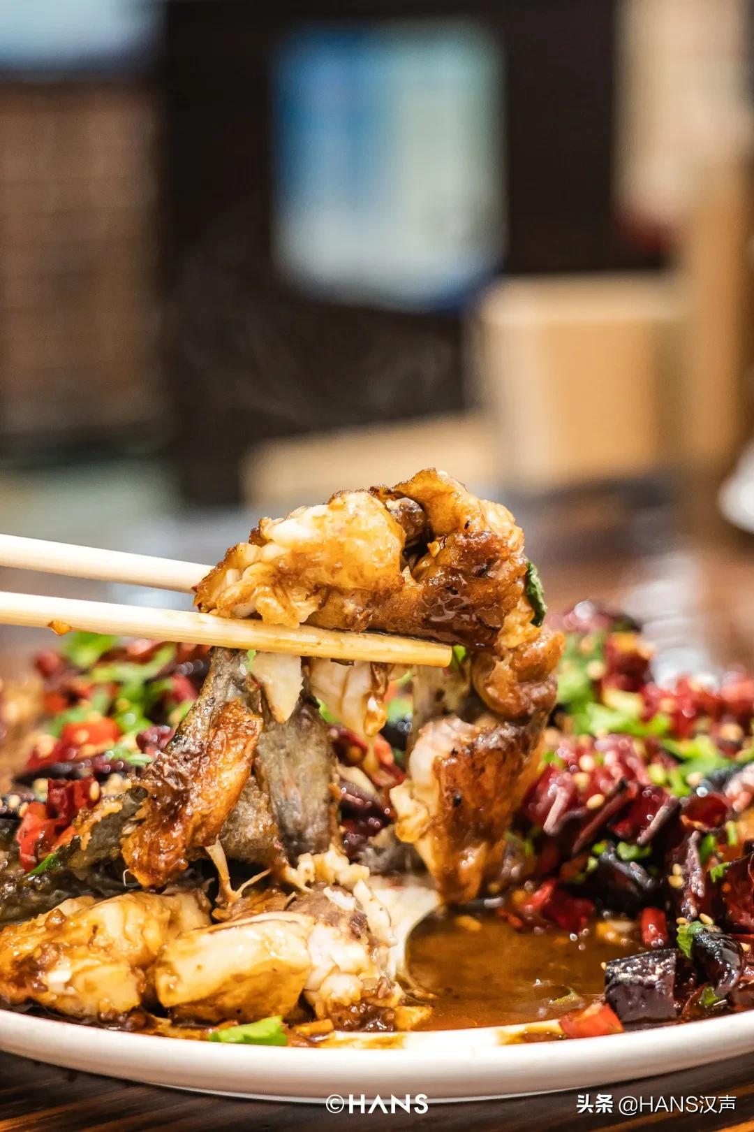 天元邓刚在湖北枣阳钓鱼的视频,天元邓刚钓鱼最新视频现场