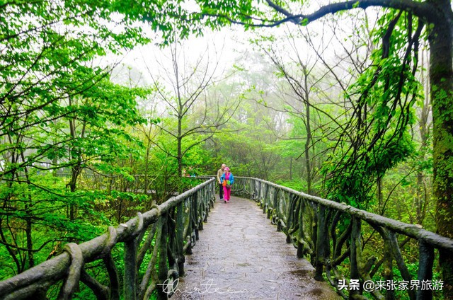 大美张家界之天门山狐仙,张家界旅游天门狐仙值得看吗