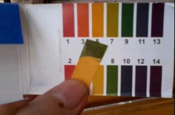 最经典的养鱼模式,养鱼大全100种