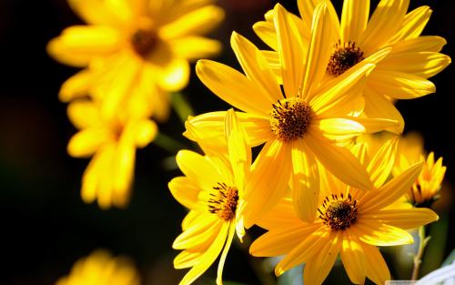 好聚好散才是成年人最体面的分手,成年人分手体面的句子