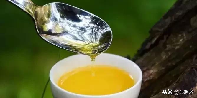 养生保健:山茶油的功效与作用