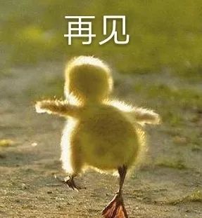 小ck鞋子推荐款式,好看又便宜的小ck