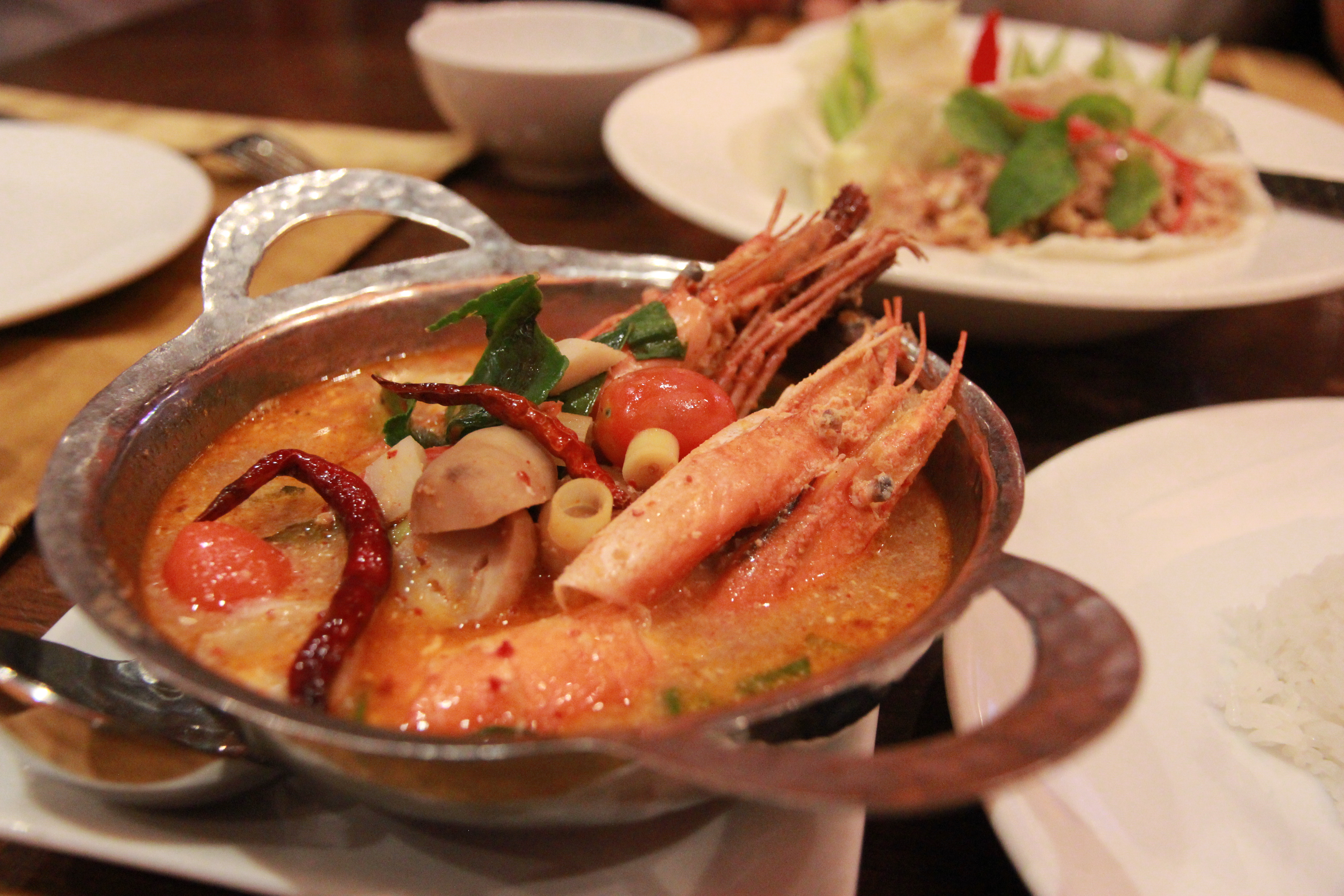 在普吉岛浮潜拍到的美妙海底世界 (普吉岛cape panwa hotel浮潜)