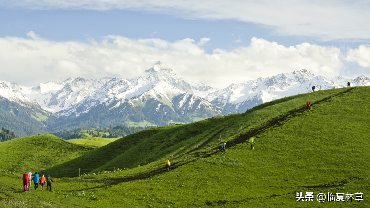 林草业务知识,林草局专业知识