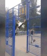 有麒麟臂的女朋友,拥有一个麒麟臂