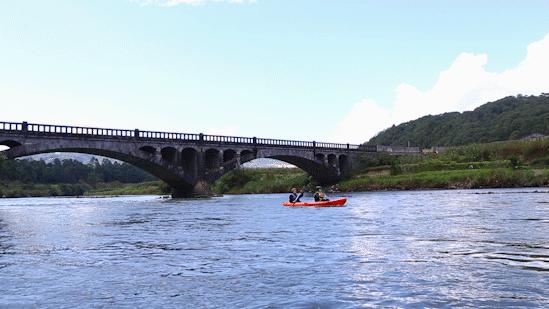 这是一个充满生机的公园怎么说,这是一个充满生机的国度朗诵