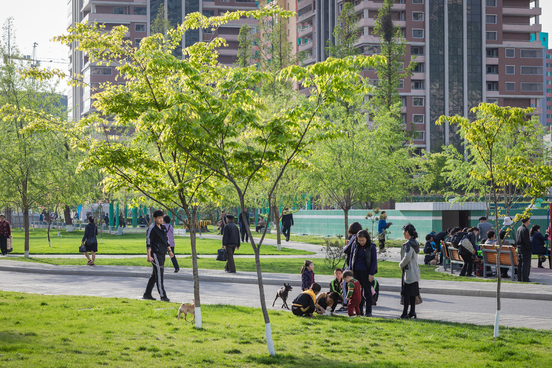 这款中国饮料在朝鲜非常受欢迎，当地人一天工资只够买两瓶