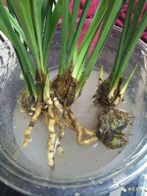 过期药的妙用,过期药品的妙用有哪些