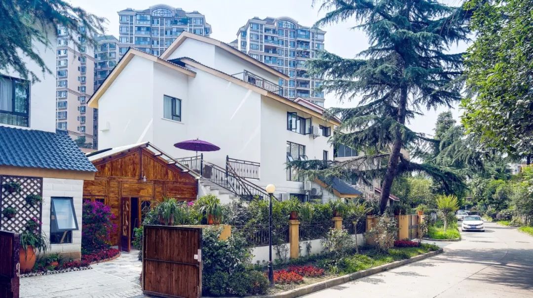 民宿投资真的有风险吗,民宿投资合伙人骗局