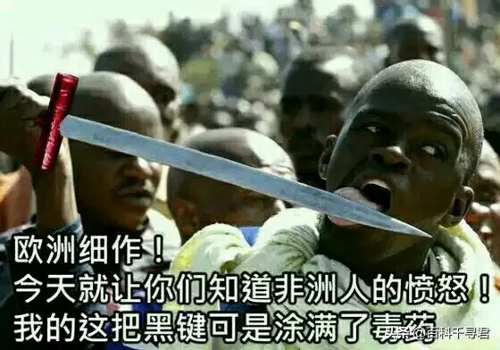 欧鳇的寿命极短,欧鳇是淡水鱼还是海鱼