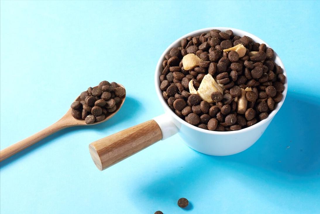 狗狗哪些部位不能摸,狗狗这几个部位不能随便洗