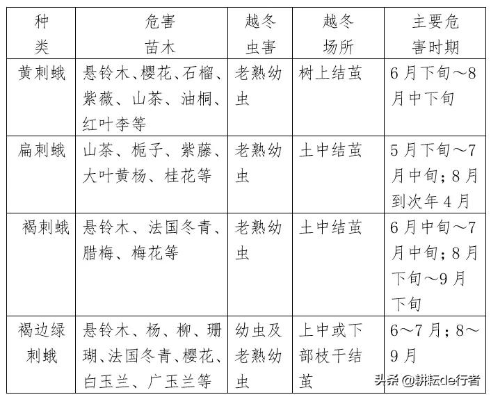 常见园林草坪病虫害杀菌剂有哪些,园林植物常见病虫害ppt