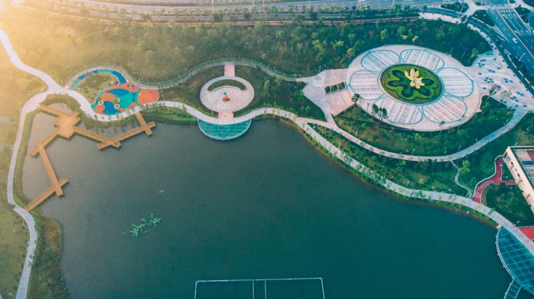 端午去哪里玩芜湖,端午游玩免费玩