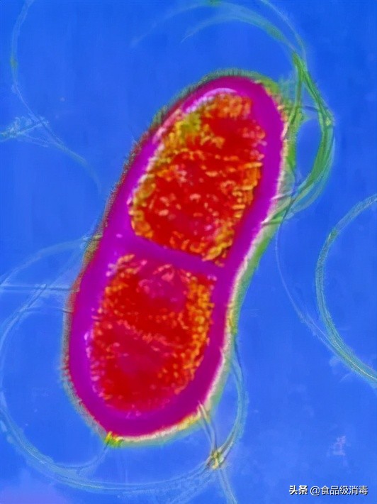 口腔诊疗用水污染三个主要来源,口腔综合治疗台水路消毒规范